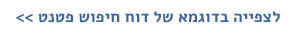 דוח חיפוש פטנט לדוגמא